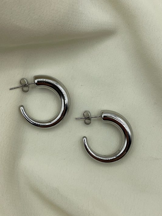 Thin Horn Earrings Silver