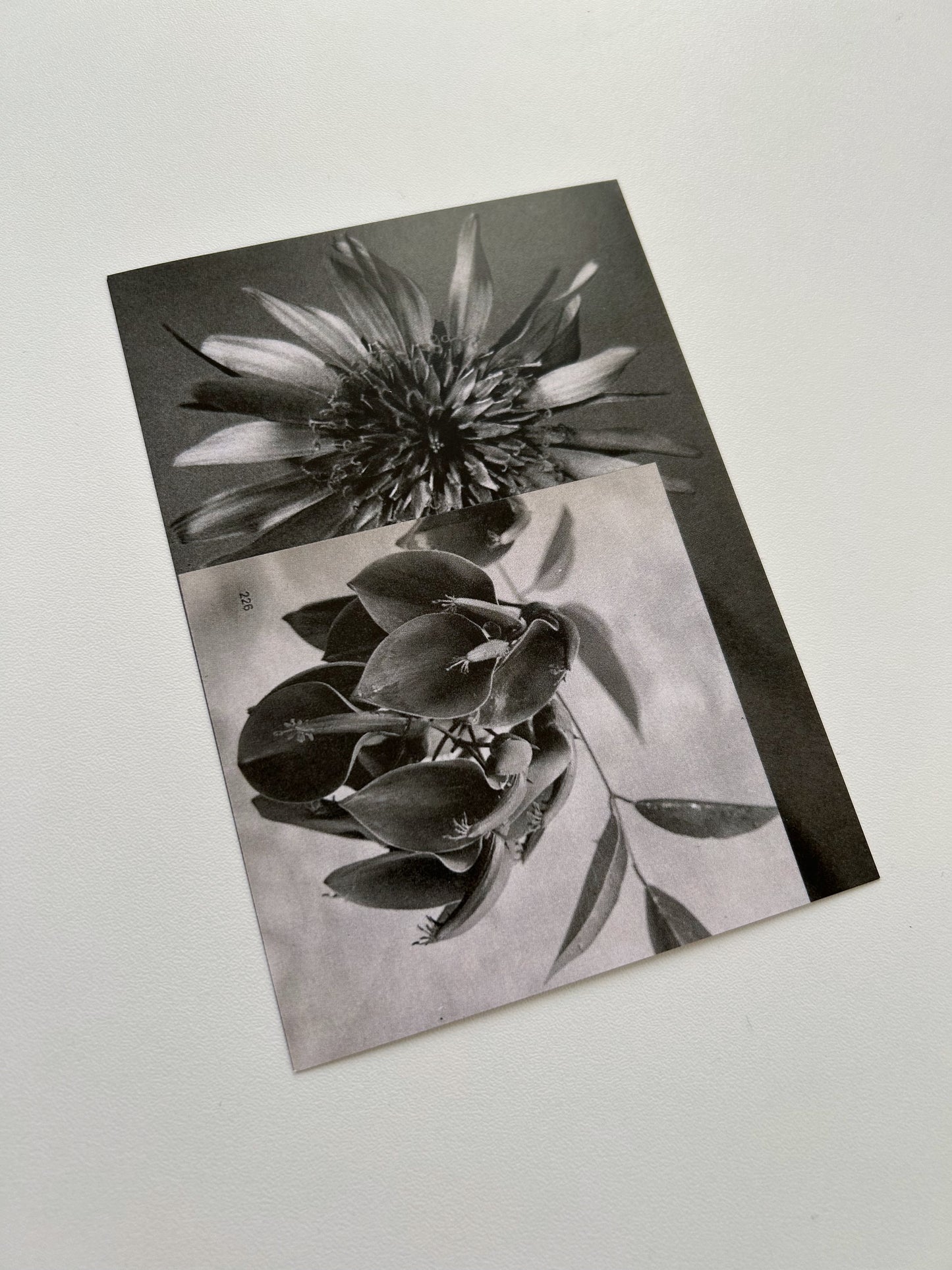 Postcard "Bouquet"