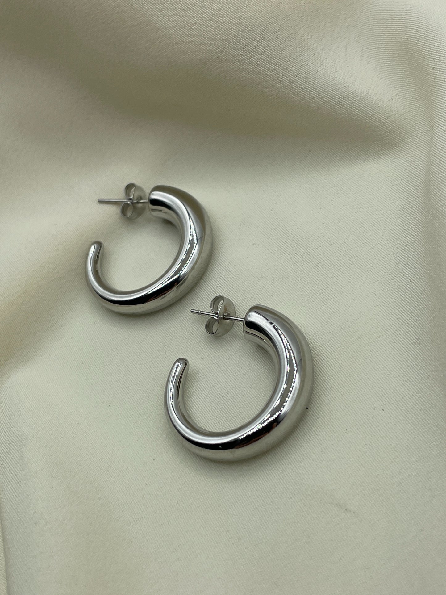 Thin Horn Earrings Silver