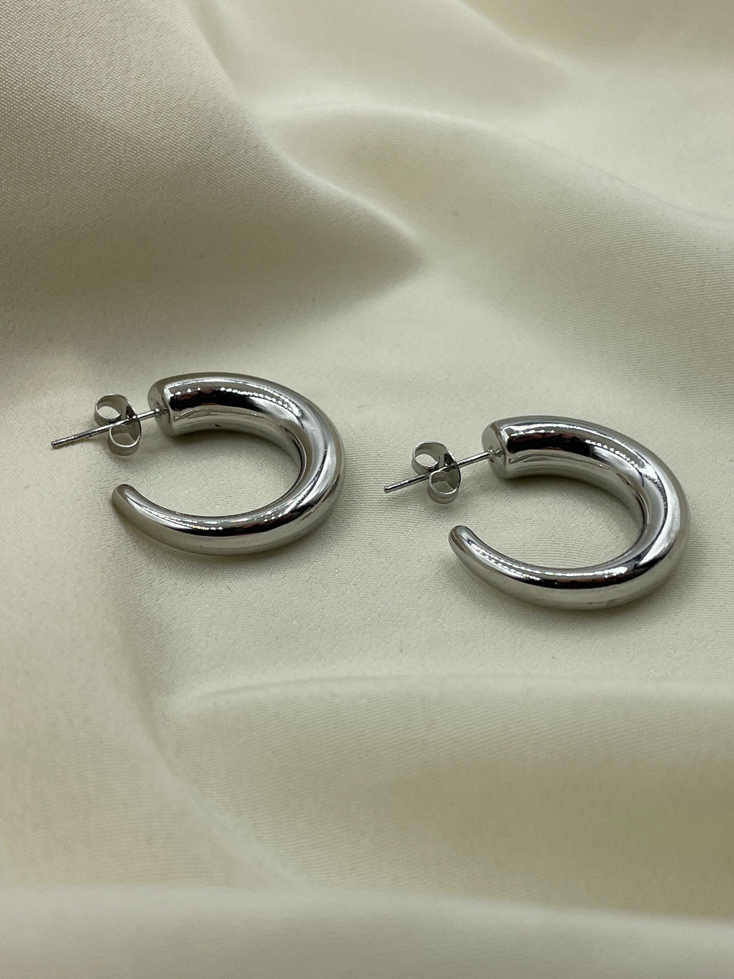 Thin Horn Earrings Silver